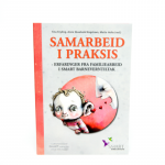 Samarbeid i praksis